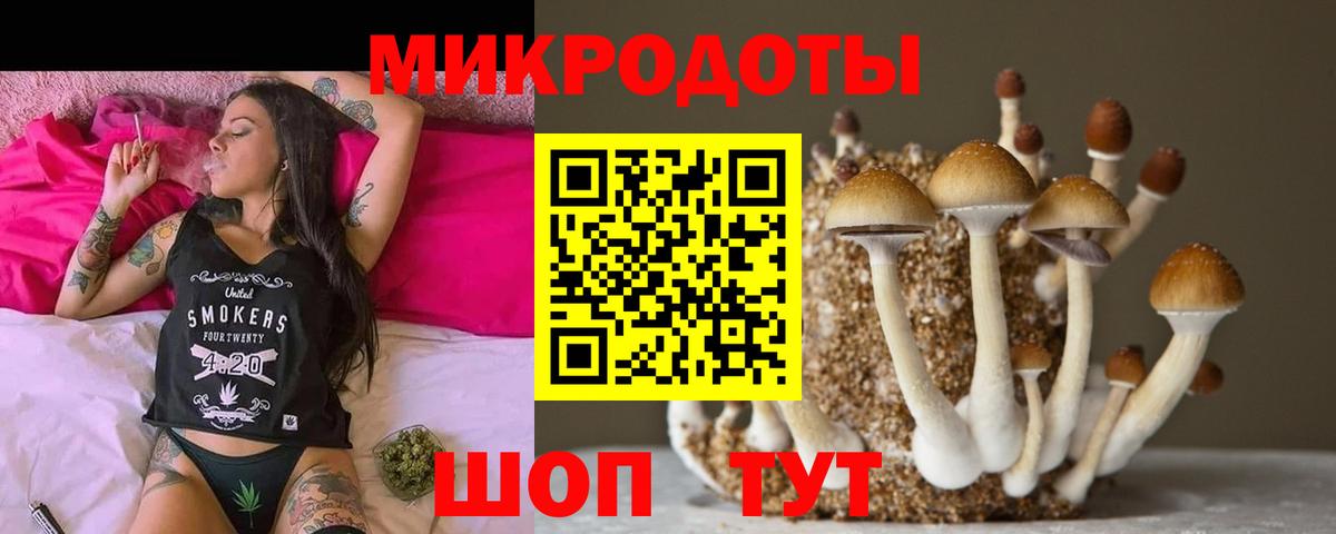 Галлюциногенные грибы Cubensis  Вход с VPN  Псилоцибиновые грибы Psilocybe  Комсомольск-на-Амуре 